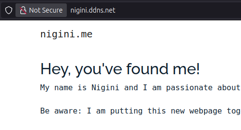 A screenshot of the top of my personal webpage running on my raspberry pi, accessed through a VPN tunnel.